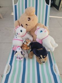Bag of free soft toys