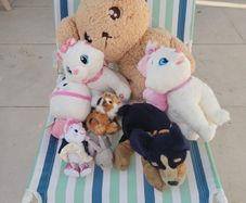 Bag of free soft toys