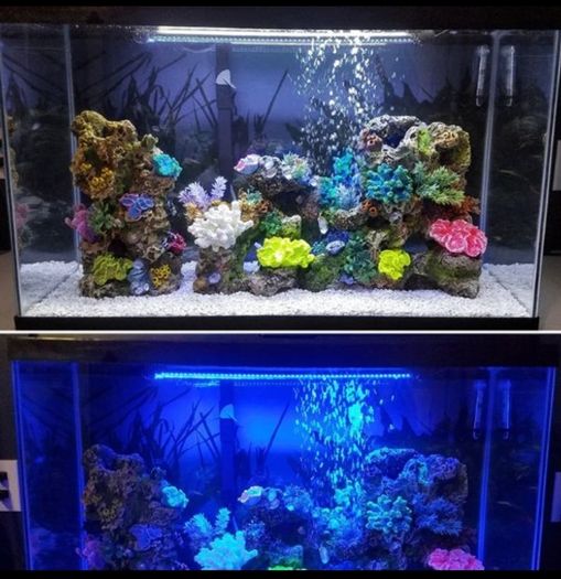 40cm Fish tank light multiple color