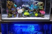 40cm Fish tank light multiple color