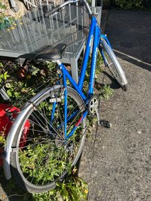 ladies bike