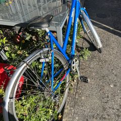 ladies bike