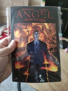 ANGEL AFTER THE FALL First Night comic book graphic novel Soft Cover 2009