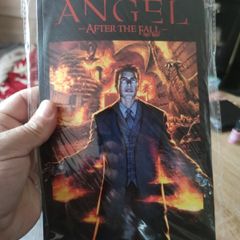 ANGEL AFTER THE FALL First Night comic book graphic novel Soft Cover 2009