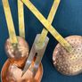 Great Set French copper UTENSIL SET Image 4