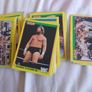 WWF Wrestling Merlin Gold Series 1992 Cards 46/96 Image 2