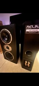 Accustic Energy aelite2