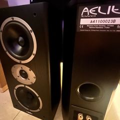 Accustic Energy aelite2