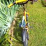 Kids bike Image 4
