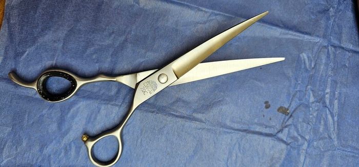 dog grooming scissors