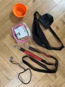 dog collar,  lead, and other accessories