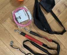 dog collar,  lead, and other accessories