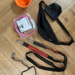 dog collar,  lead, and other accessories