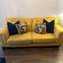 3 seater and 2 seater couch for sale Image 2