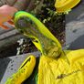 Nike Mercurial Vapor IX Fast forward "06" Image 6