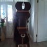 wooden horse Image 4