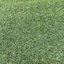 Artificial Grass 4m x 1m Image 2