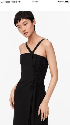 Zara limited edition dress. New. Size M. RRP 99