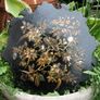 19th Century English Chinoiserie Papier Mache Wine Coaster Tray and Mid 19th Century English Victorian Period Papier Mache Tray with Mother-of-Pearl Image 7