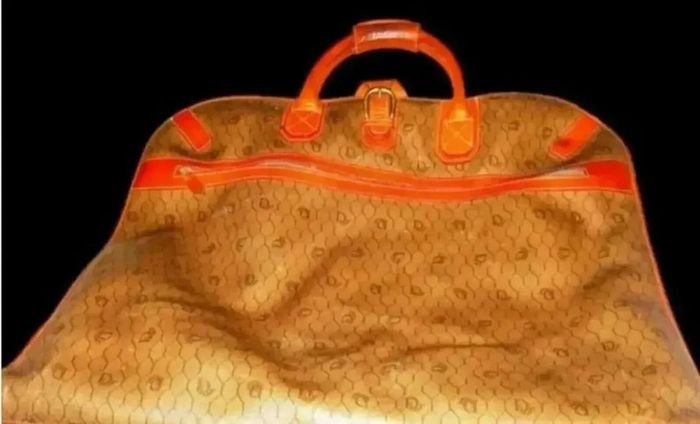 Vintage Authentic Christian Dior Honeycomb Garment Bag