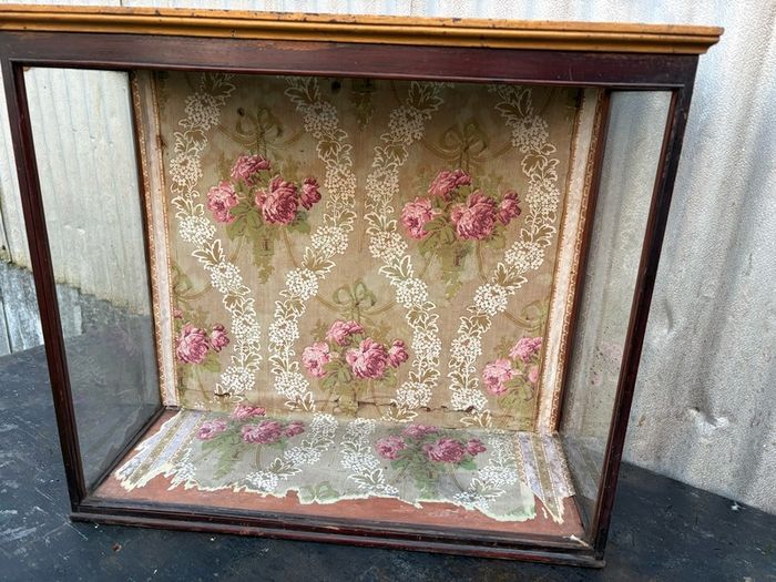 Antique Victorian glass taxadermy display case, needs some resto. c1880