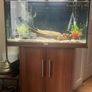 Fish tank Image 2