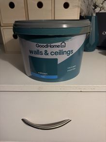 paint