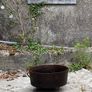 Antique Cast Iron Oven pot Image 3