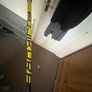 Callaway Rogue Max Ls Image 4
