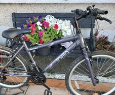 girls bike