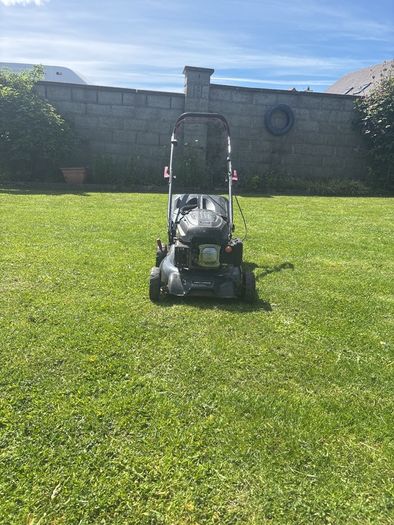 lawn
