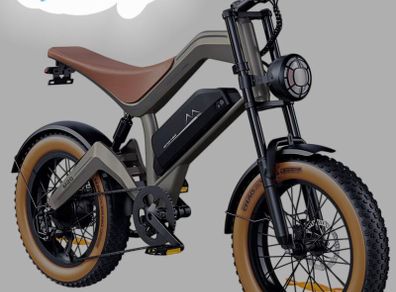DYU M20 All - Terrain Long Range Electric Bike