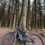 Professional Mountain Bike Image 4