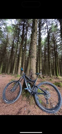 Professional Mountain Bike
