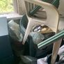 7 plastic garden chairs Image 2