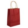 Paper Party/Gift Bags with Twisted Paper Handles Small/Medium/Large/Extra-Large Image 2