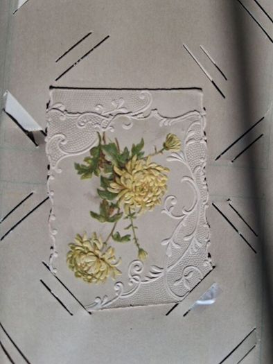 Mega Art Nouveau Postcard Album (197 Pieces)