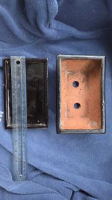 Small Bonsai Pot
