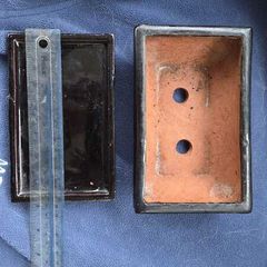 Small Bonsai Pot