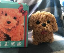 Robotic puppy