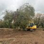 Tree shear saw head and mulcher hire Image 4