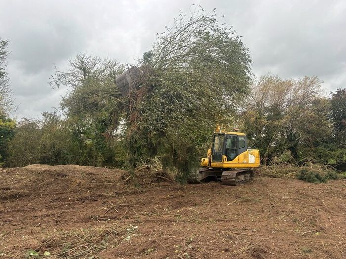 Tree shear saw head and mulcher hire