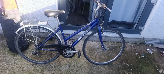 Hybrid bike