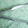 Antique Victorian  Divider Navigation Steel Needle Points. Image 5
