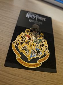 Harry Potter pin