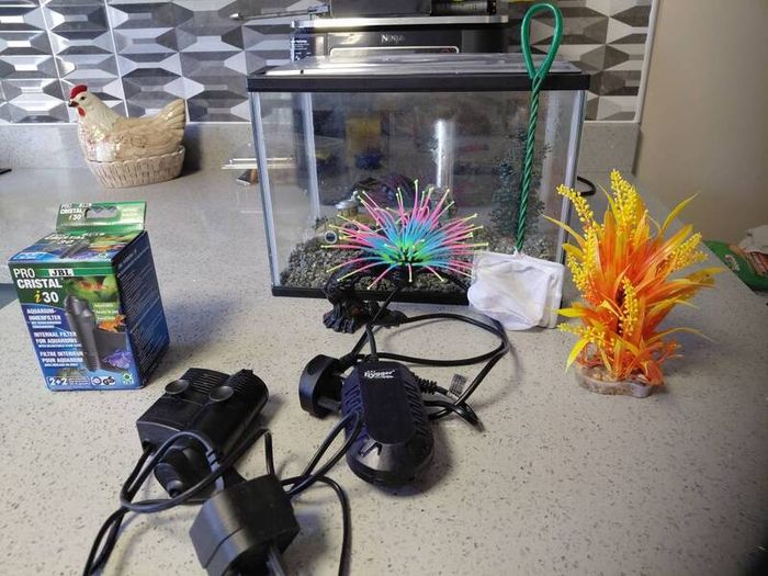 fish tank