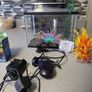 fish tank Image 2