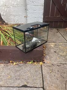 Fish Tank