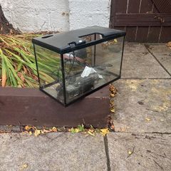Fish Tank