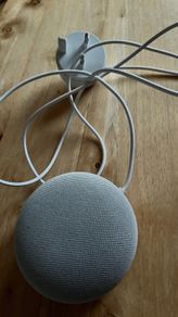 Google Nest please read